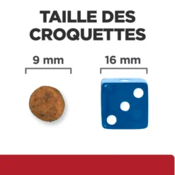 Hill's Prescription Diet I/D Digestive Kitten - croquettes pour chaton