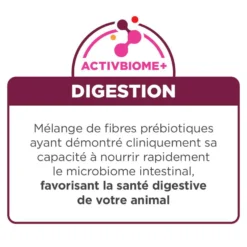 Hill's Prescription Diet I/D Digestive Kitten - croquettes pour chaton