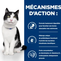 Hill's Prescription Diet i/d Digestive Care au poulet - croquettes chat