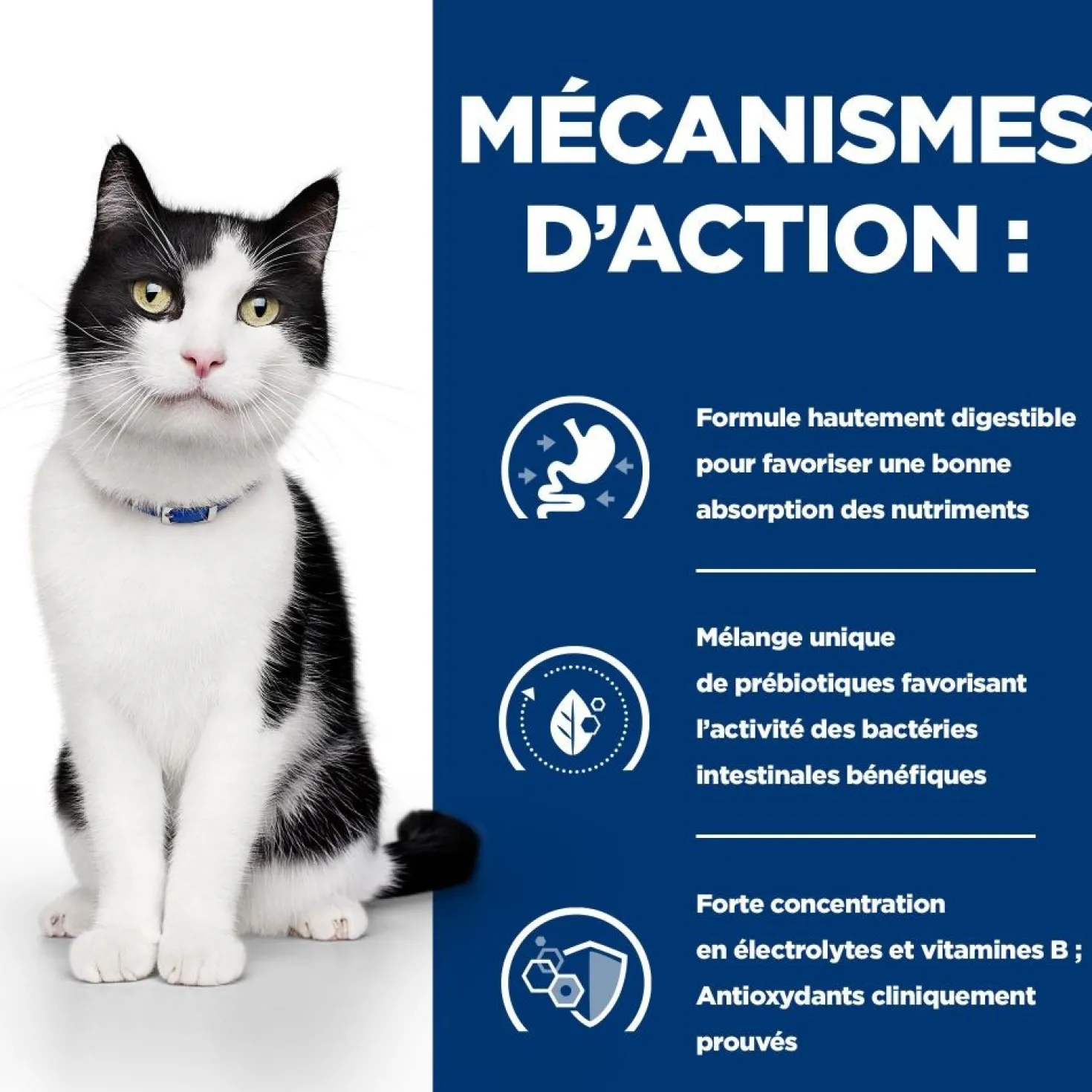 Hill's Prescription Diet i/d Digestive Care en sachets - pâtée chat