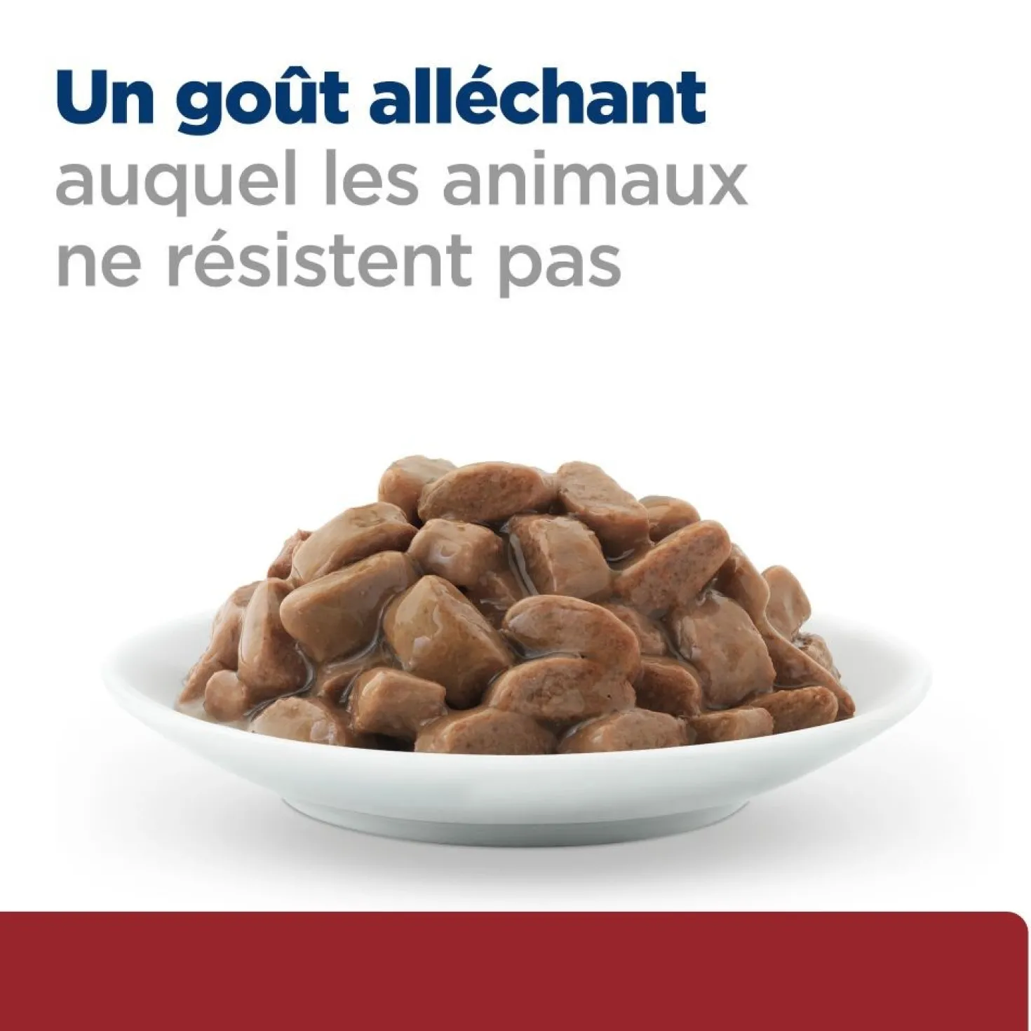 Hill's Prescription Diet i/d Digestive Care en sachets - pâtée chat