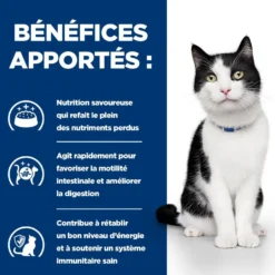 Hill's Prescription Diet i/d Digestive Care en sachets - pâtée chat