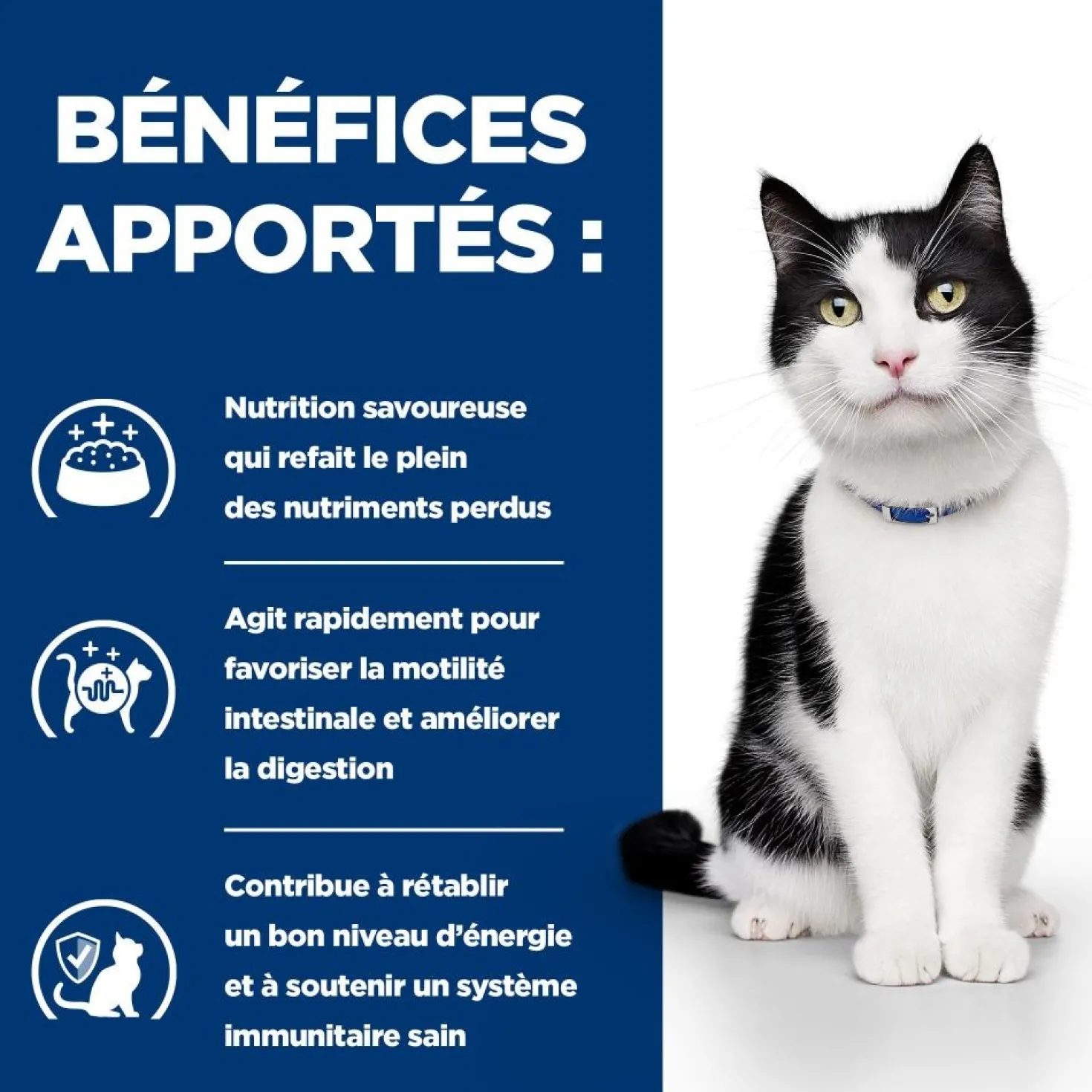Hill's Prescription Diet i/d Digestive Care en sachets - pâtée chat