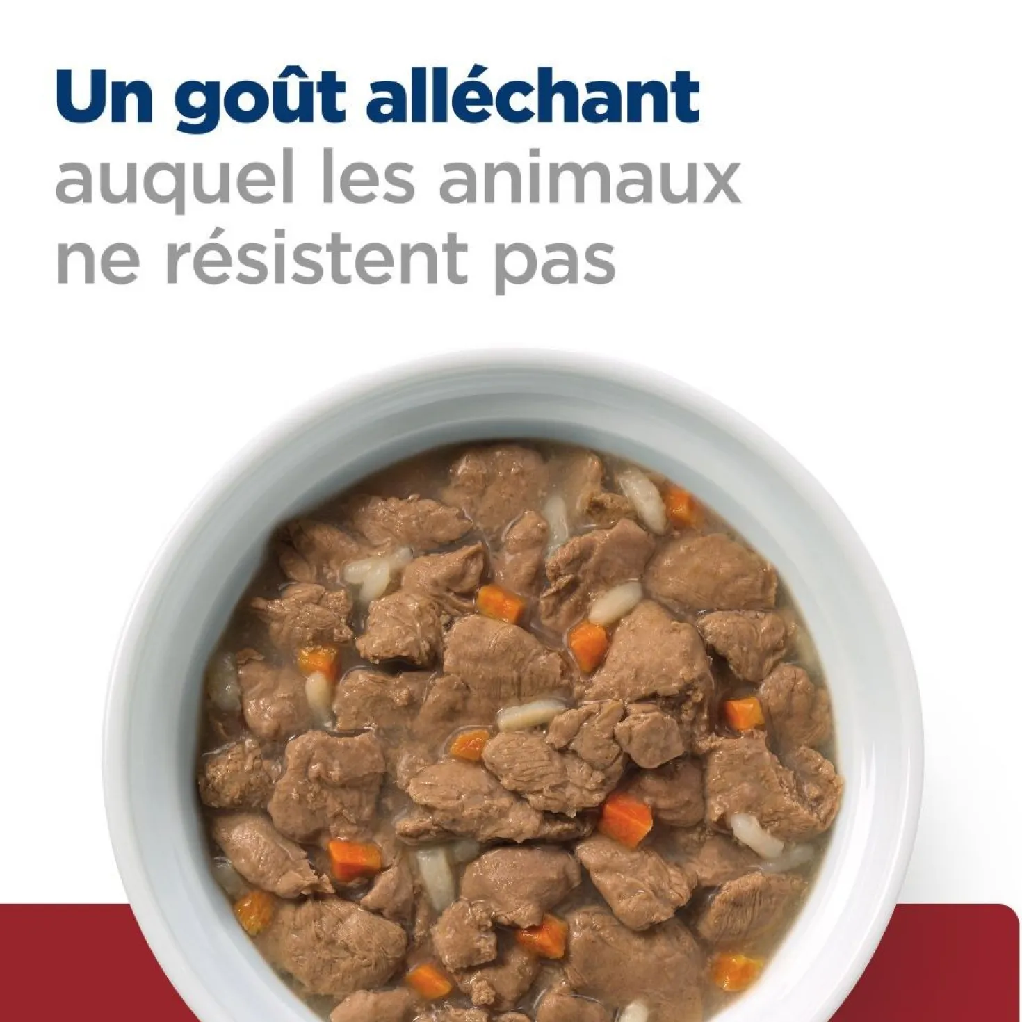 Hill's Prescription Diet i/d Digestive Care en mijotés au poulet - pâtée chat