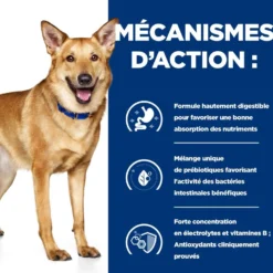 Hill's Prescription Diet i/d Digestive Care au poulet - croquettes chien