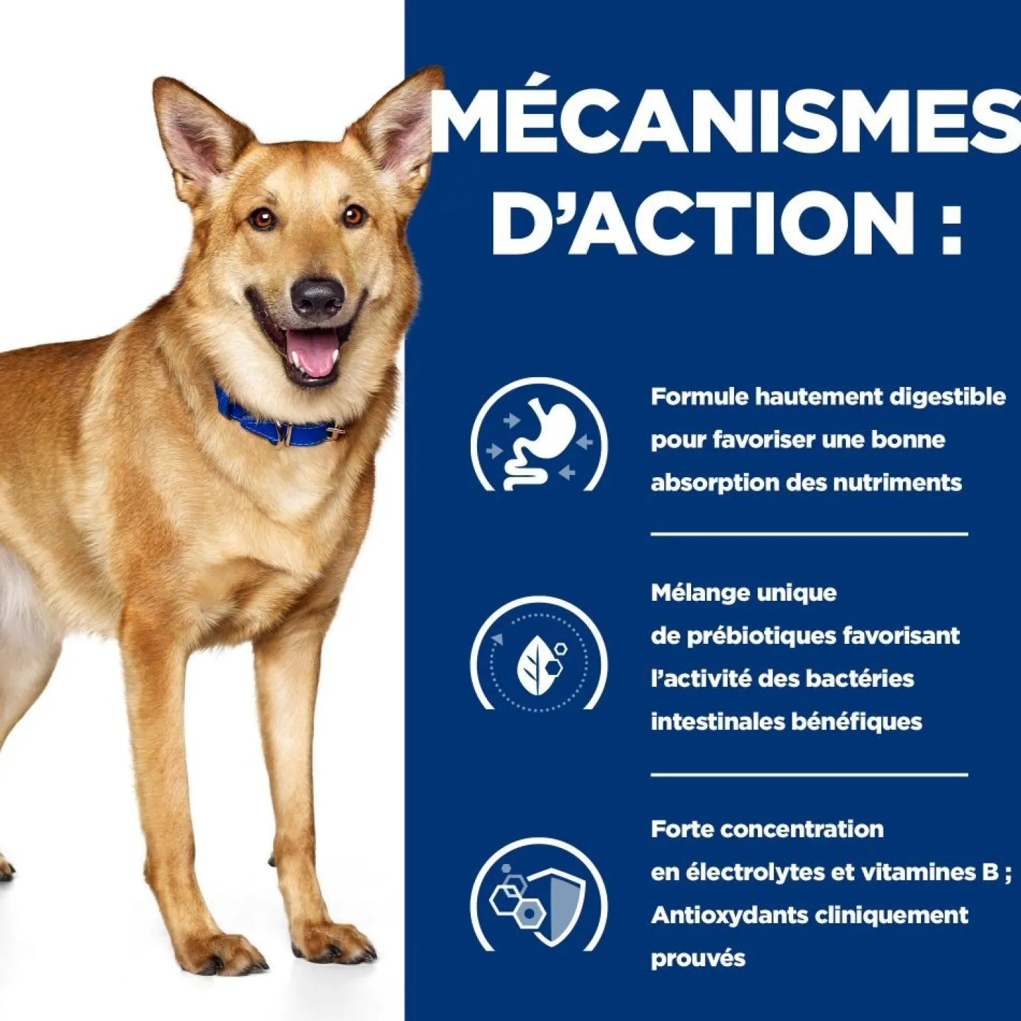 Hill's Prescription Diet i/d Digestive Care au poulet - croquettes chien