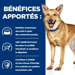 Hill's Prescription Diet i/d Digestive Care terrine - pâtée chien