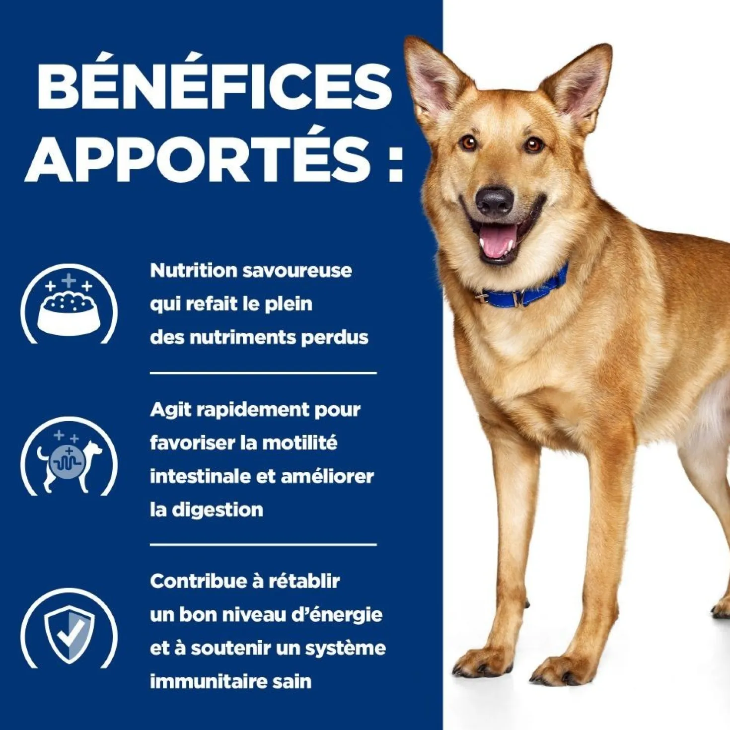 Hill's Prescription Diet i/d Digestive Care terrine - pâtée chien