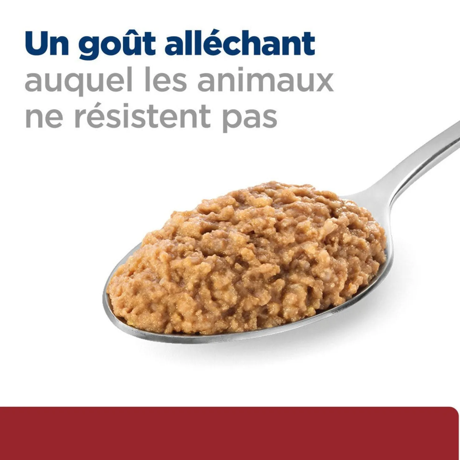 Hill's Prescription Diet i/d Digestive Care terrine - pâtée chien