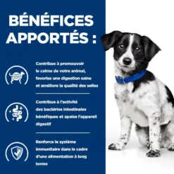 Hill's Prescription Diet i/d Digestive Care Stress Mini en mijotés au poulet - pâtée chien