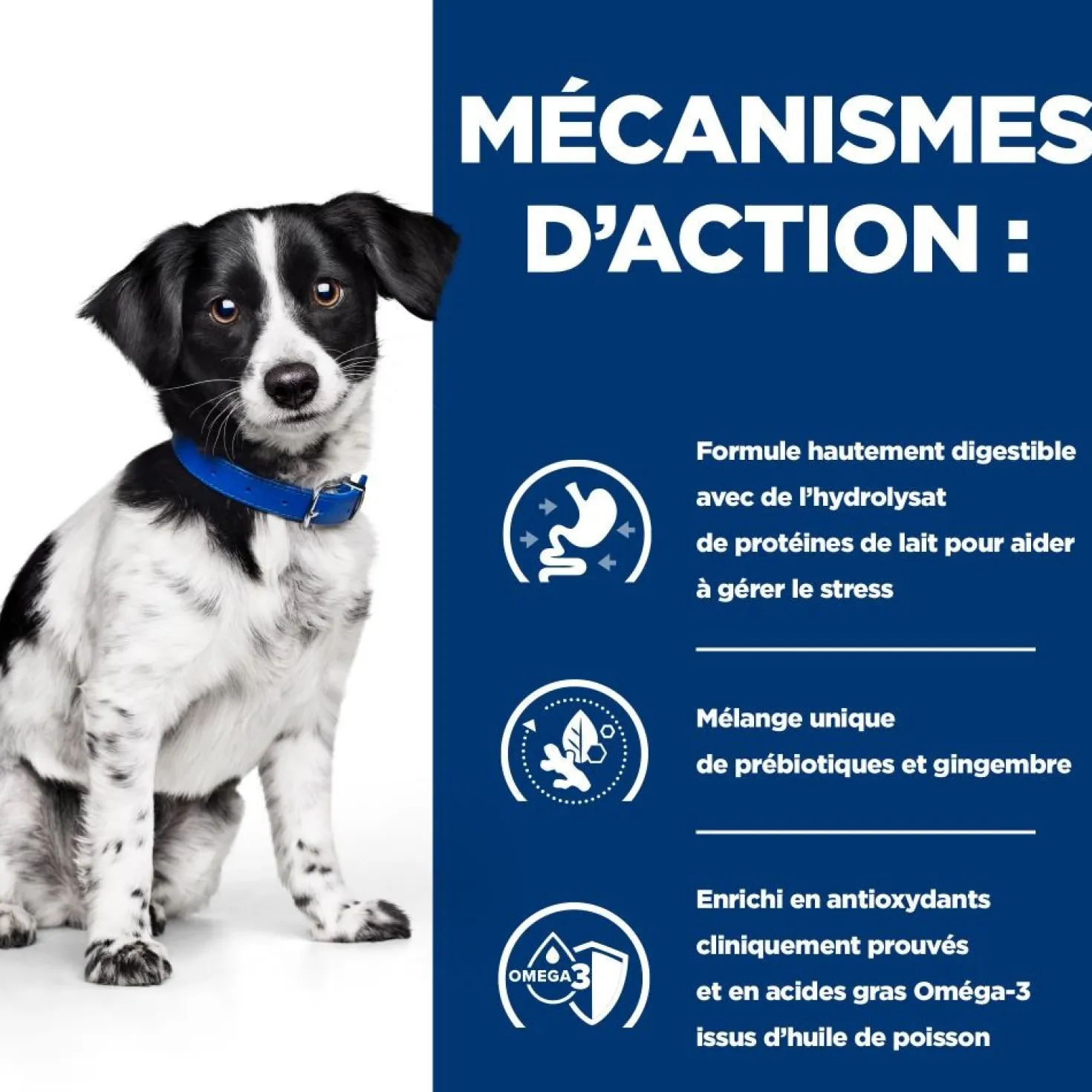 Hill's Prescription Diet i/d Digestive Care Stress Mini en mijotés au poulet - pâtée chien