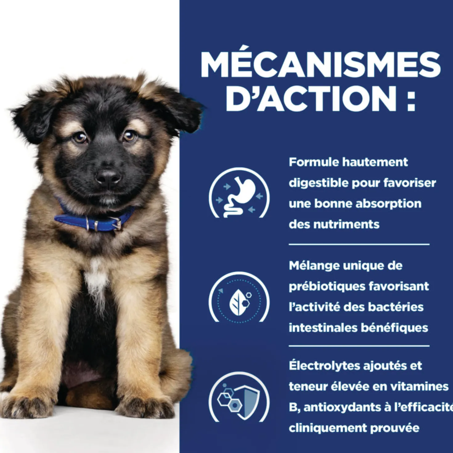 Hill's Prescription Diet i/d Digestive Puppy - croquettes chiot