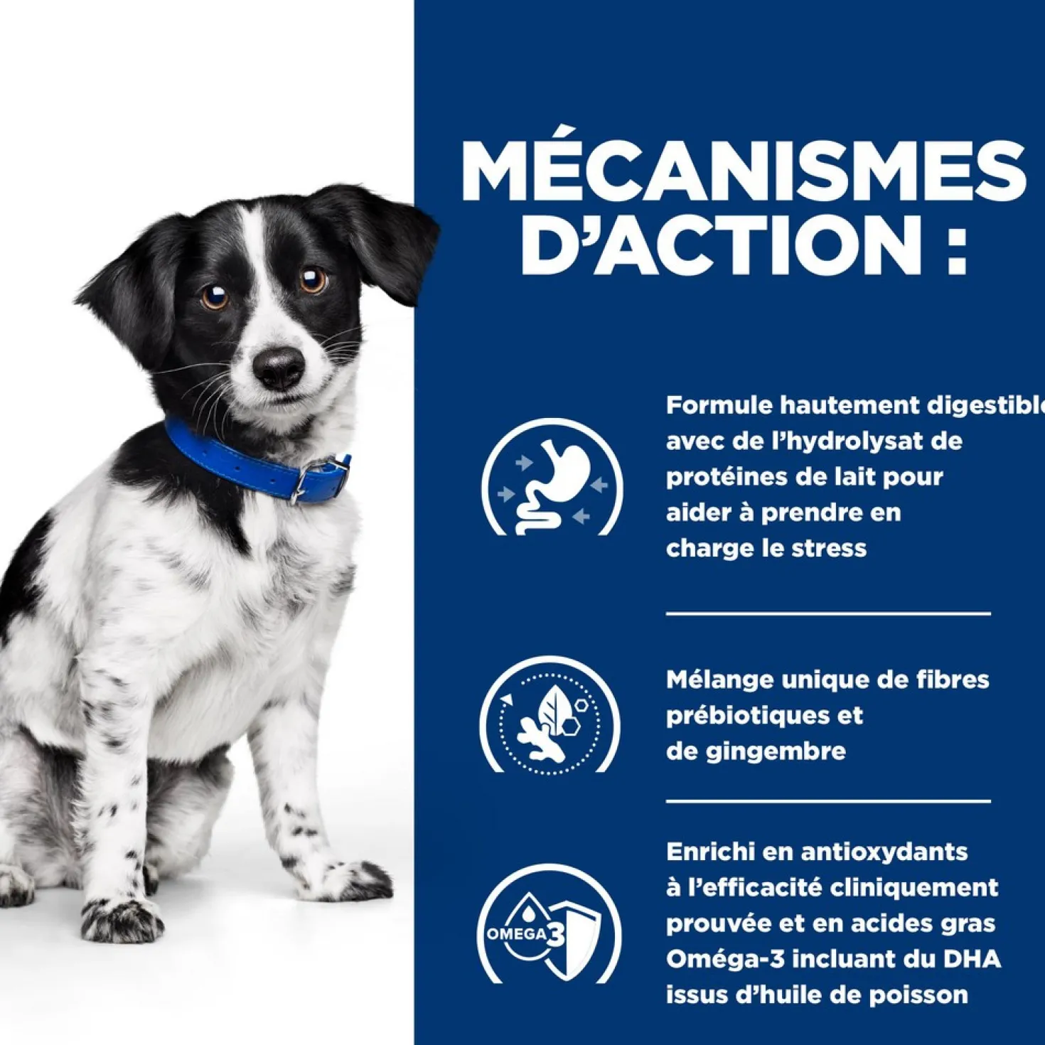 Hill's Prescription Diet i/d Digestive Care Stress Mini en terrine au poulet - pâtée chien