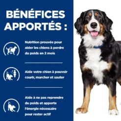 Hill's Prescription Diet j/d Metabolic + Mobility au poulet - croquettes chien