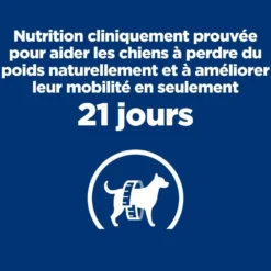 Hill's Prescription Diet j/d Metabolic + Mobility au poulet - croquettes chien
