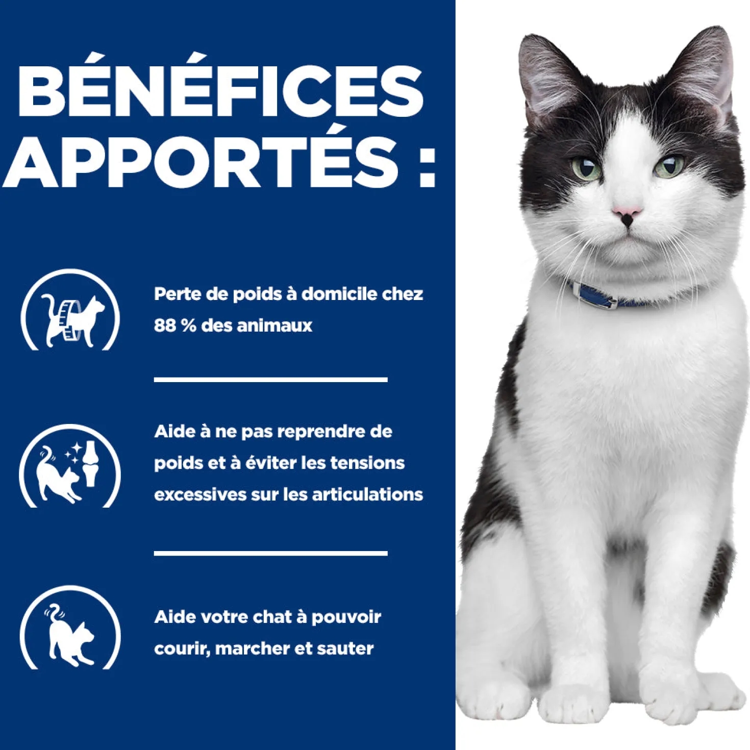 Hill's prescription diet j/d Metabolic + Mobility Croquettes pour Chat au Poulet