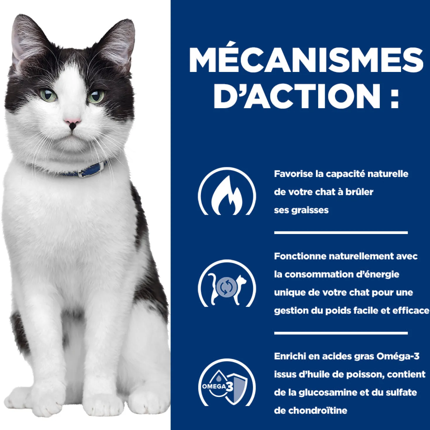Hill's prescription diet j/d Metabolic + Mobility Croquettes pour Chat au Poulet
