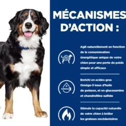 Hill's Prescription Diet j/d Metabolic+Mobility en boîtes au poulet – pâtée chien