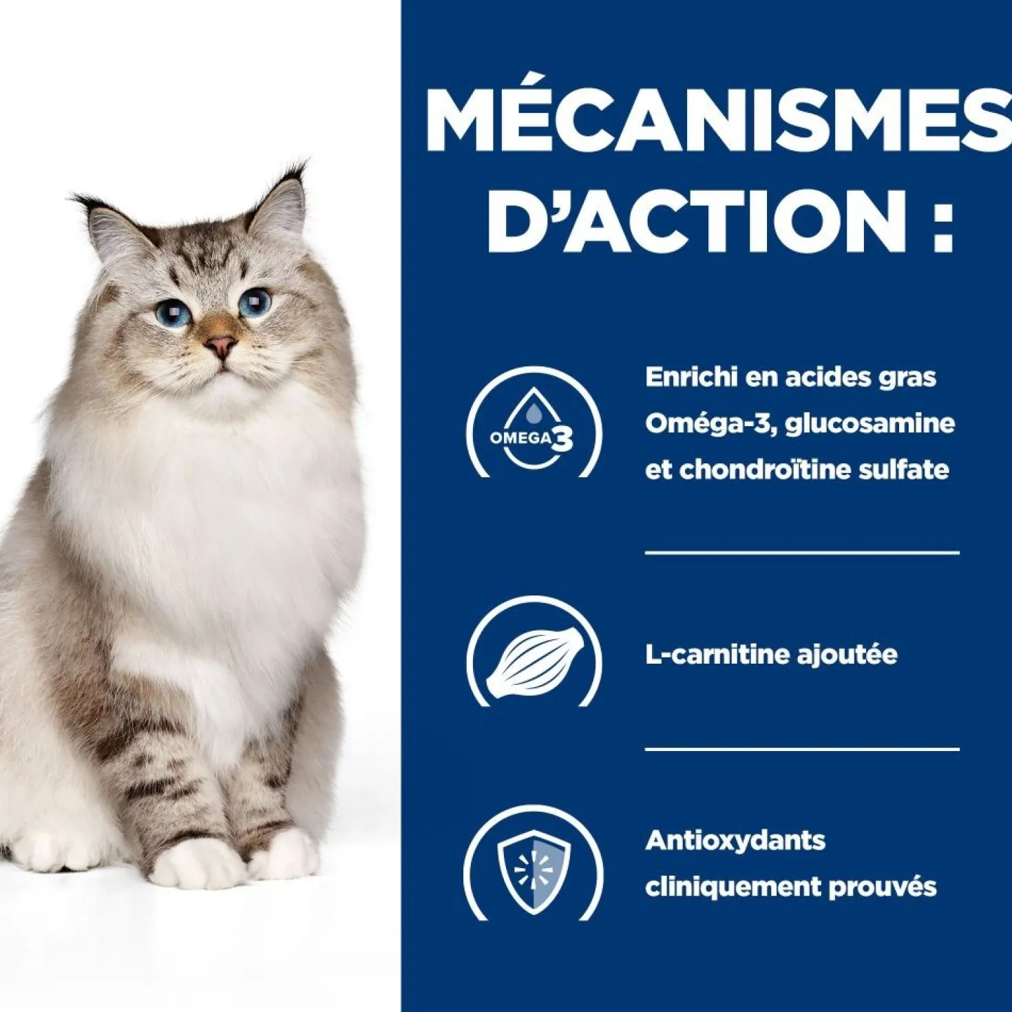 Hill's Prescription Diet j/d Mobility au poulet - croquettes chat