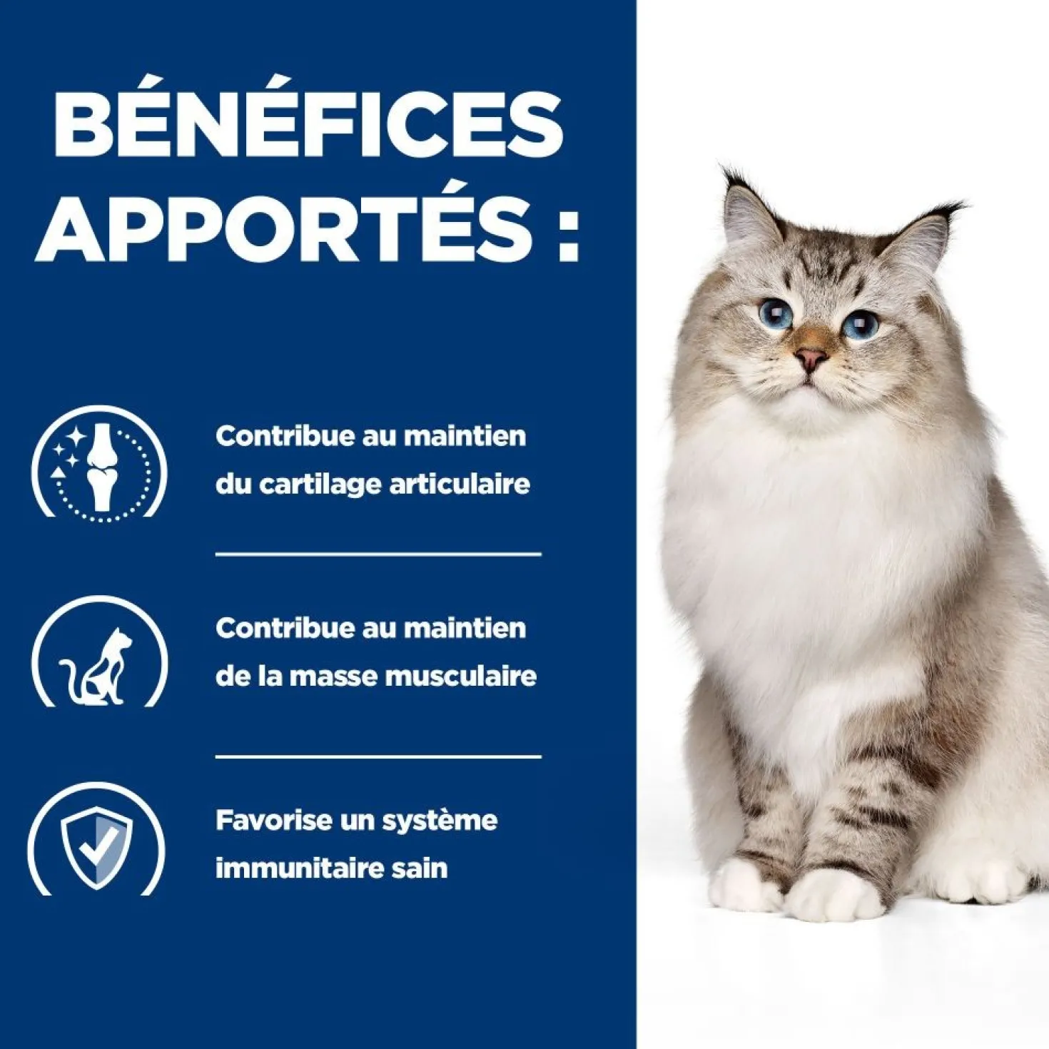 Hill's Prescription Diet j/d Mobility au poulet - croquettes chat