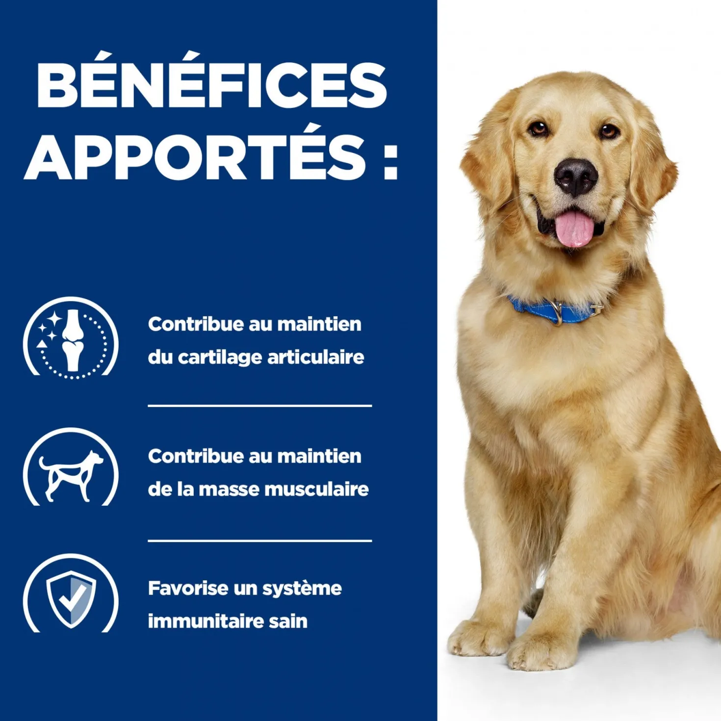 Hill's Prescription Diet j/d Mobility en boîtes au poulet – pâtée chien