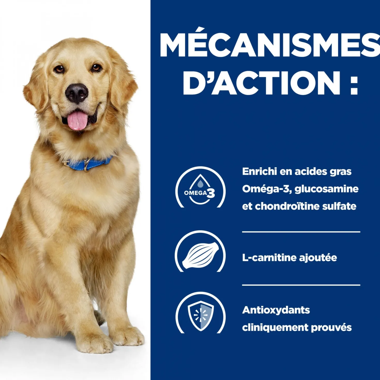Hill's Prescription Diet j/d Mobility en boîtes au poulet – pâtée chien