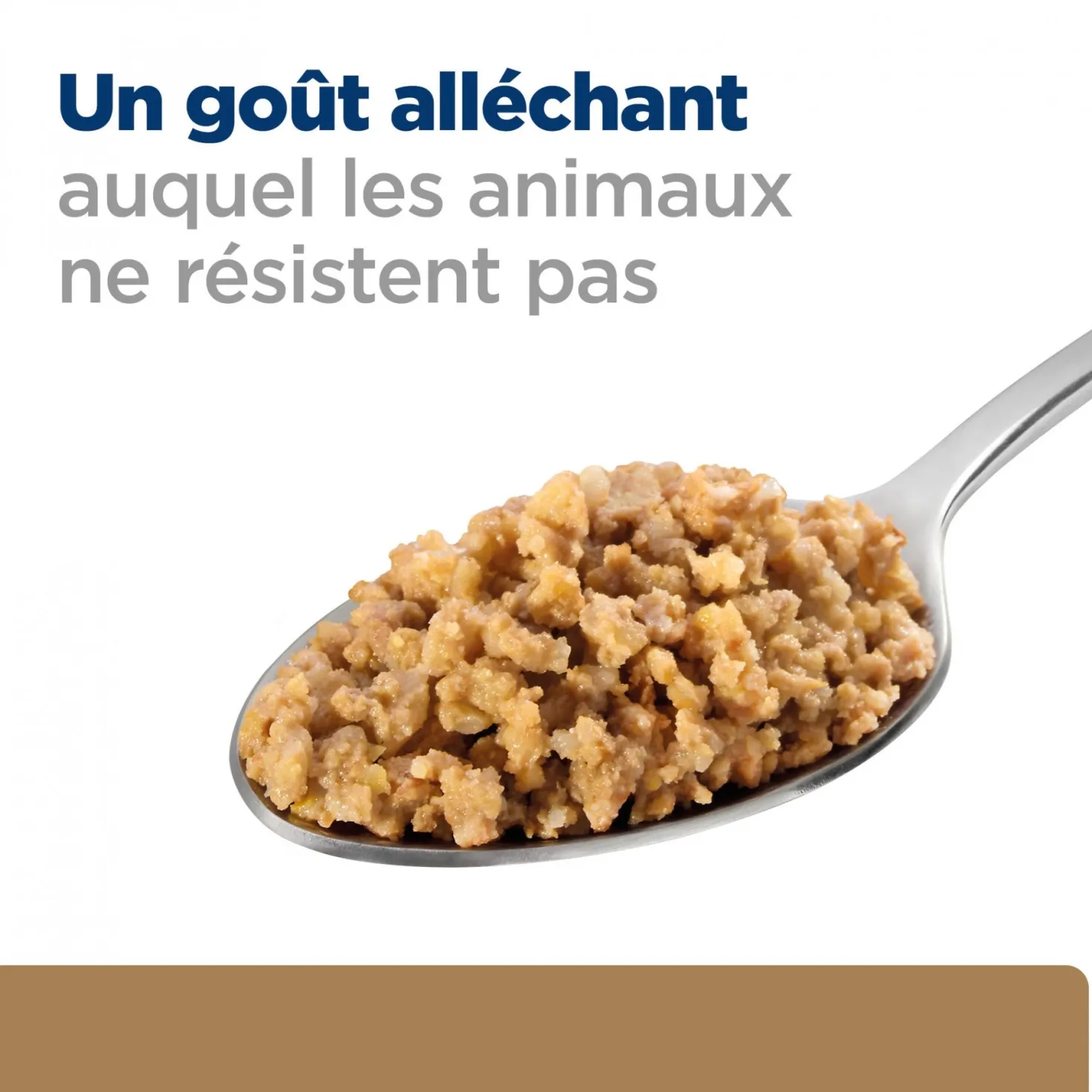 Hill's Prescription Diet j/d Mobility en boîtes au poulet – pâtée chien