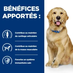 Hill's Prescription Diet j/d Mobility Reduced Calorie au poulet - croquettes chien