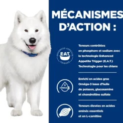 Hill's Prescription Diet k/d j/d Kidney + Mobility - croquettes chien
