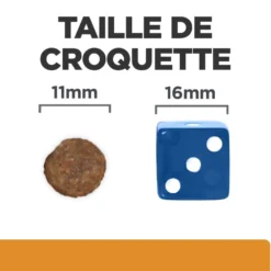 Hill's Prescription Diet k/d j/d Kidney + Mobility - croquettes chien