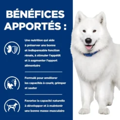 Hill's Prescription Diet k/d j/d Kidney + Mobility - croquettes chien