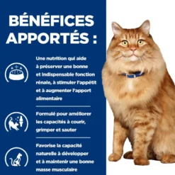 Hill's Prescription Diet k/d j/d Kidney + Mobility au poulet - croquettes chat