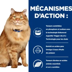 Hill's Prescription Diet k/d j/d Kidney + Mobility en sachets au poulet - pâtée chat