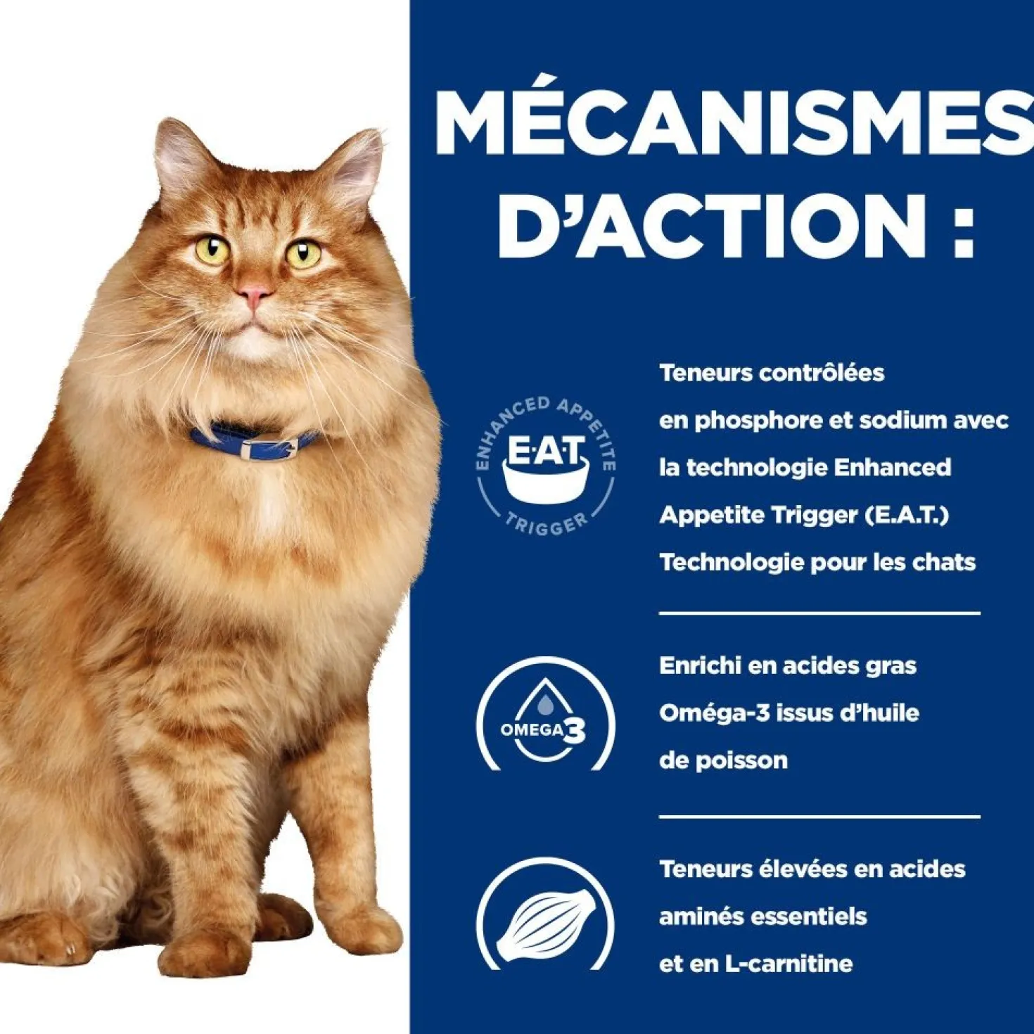 Hill's Prescription Diet k/d j/d Kidney + Mobility en sachets au poulet - pâtée chat