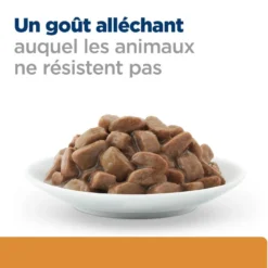 Hill's Prescription Diet k/d j/d Kidney + Mobility en sachets au poulet - pâtée chat