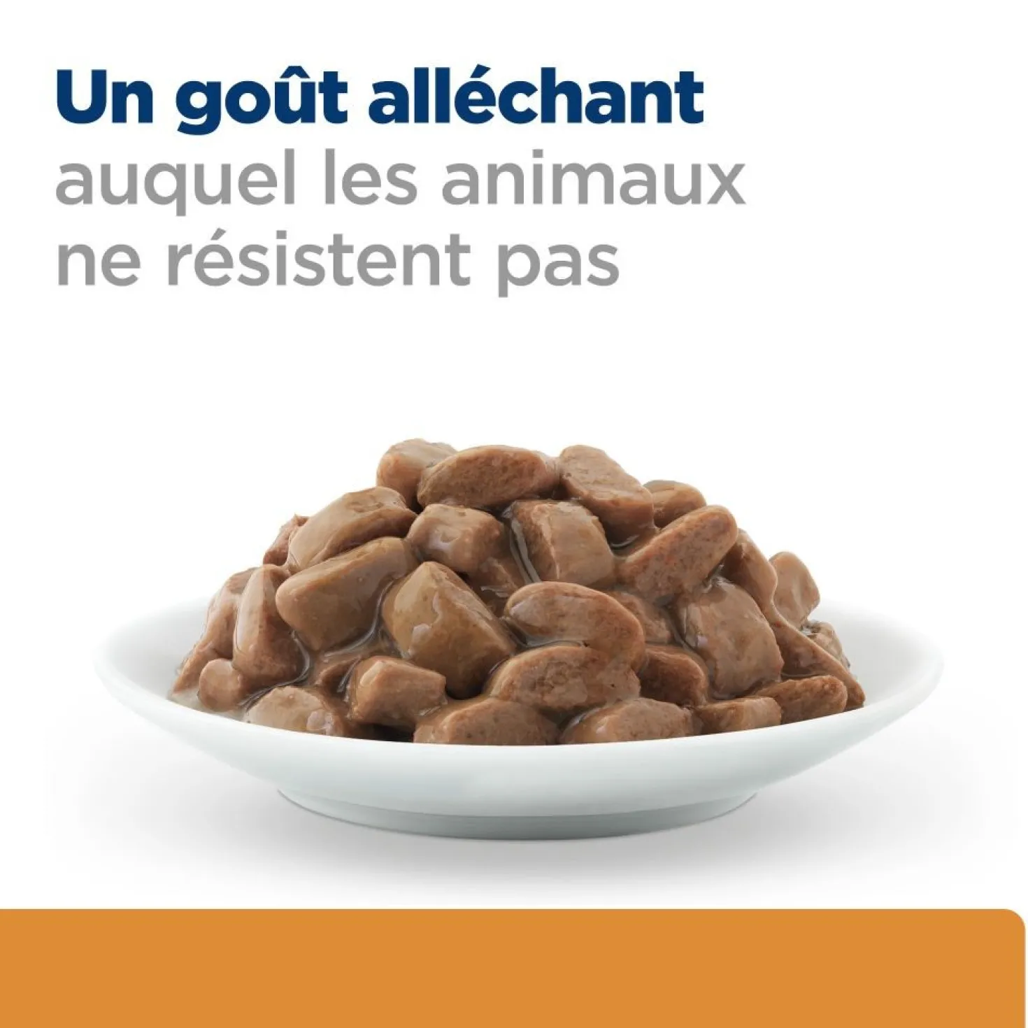 Hill's Prescription Diet k/d j/d Kidney + Mobility en sachets au poulet - pâtée chat