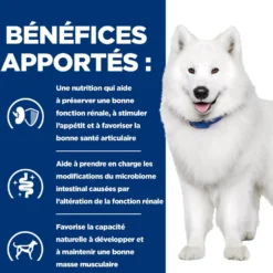 Hill's Prescription Diet k/d j/d Kidney + Mobility en terrine au poulet - pâtée chien