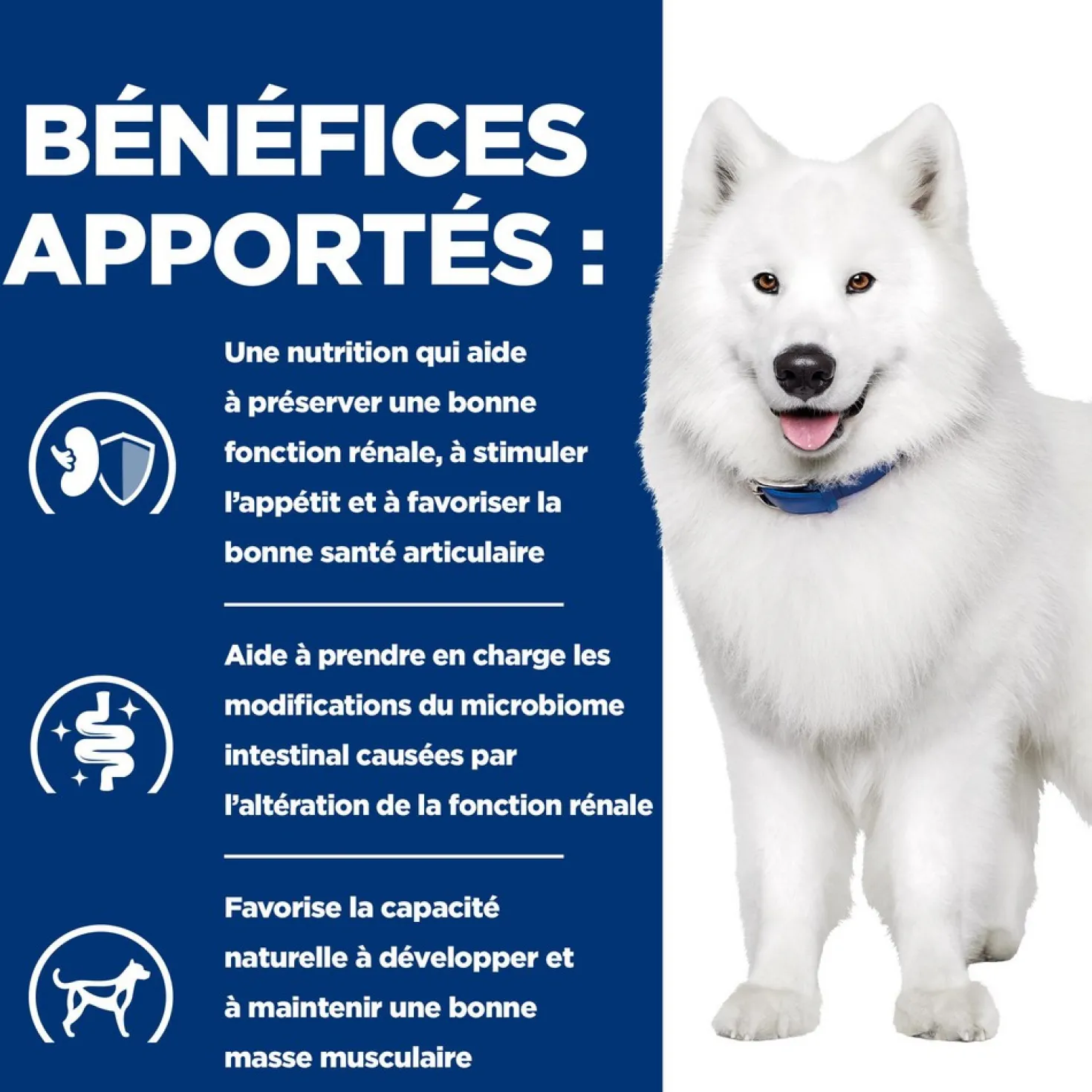 Hill's Prescription Diet k/d j/d Kidney + Mobility en terrine au poulet - pâtée chien