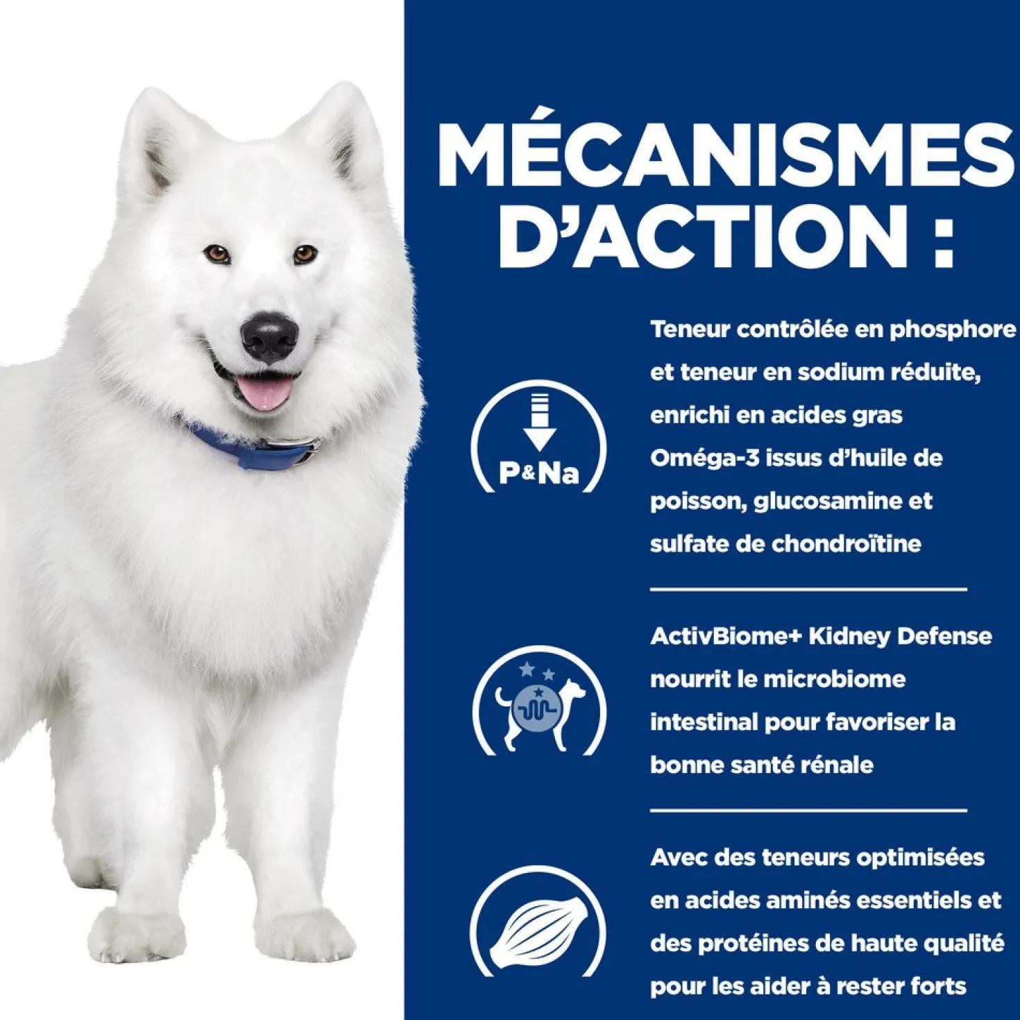 Hill's Prescription Diet k/d j/d Kidney + Mobility en terrine au poulet - pâtée chien