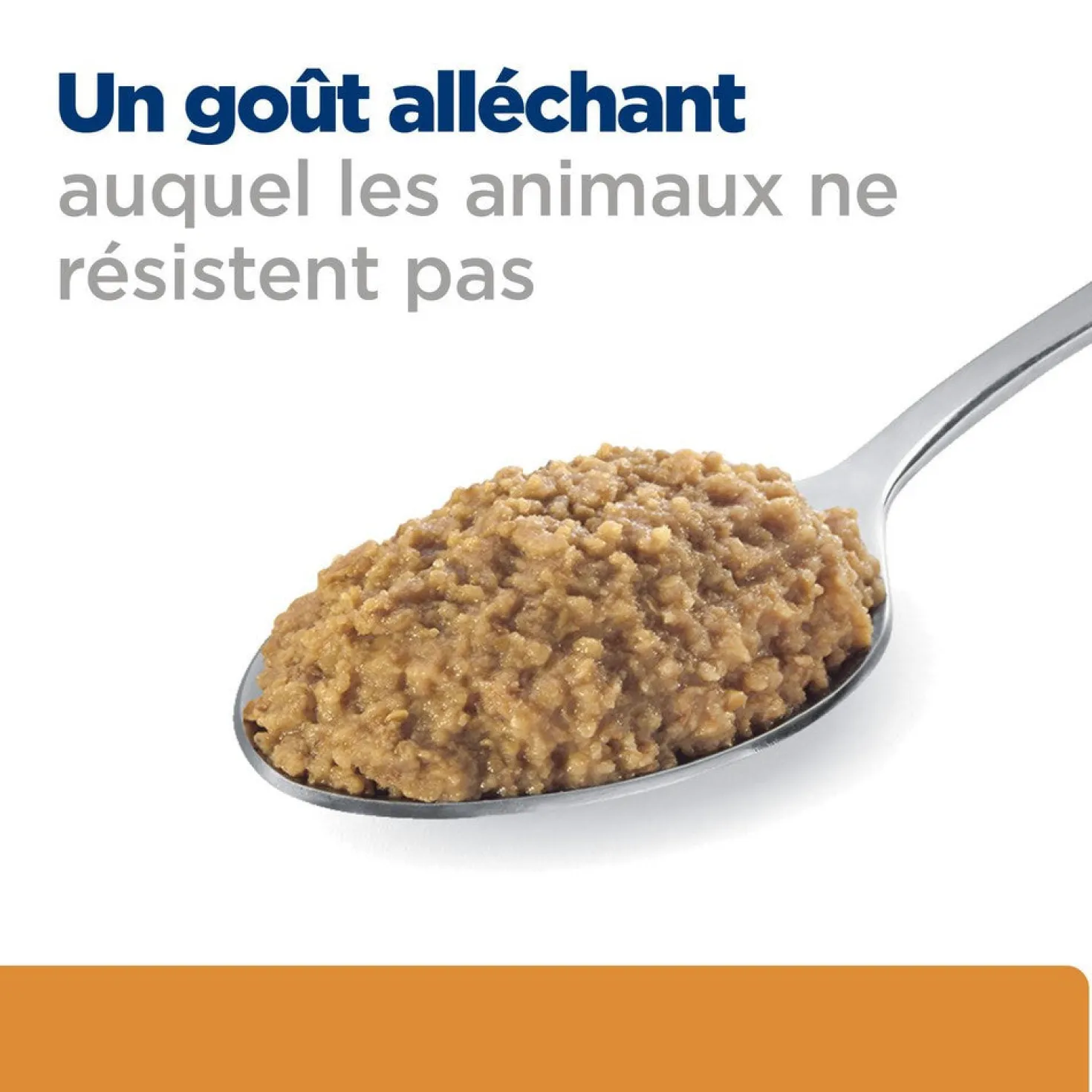 Hill's Prescription Diet k/d j/d Kidney + Mobility en terrine au poulet - pâtée chien