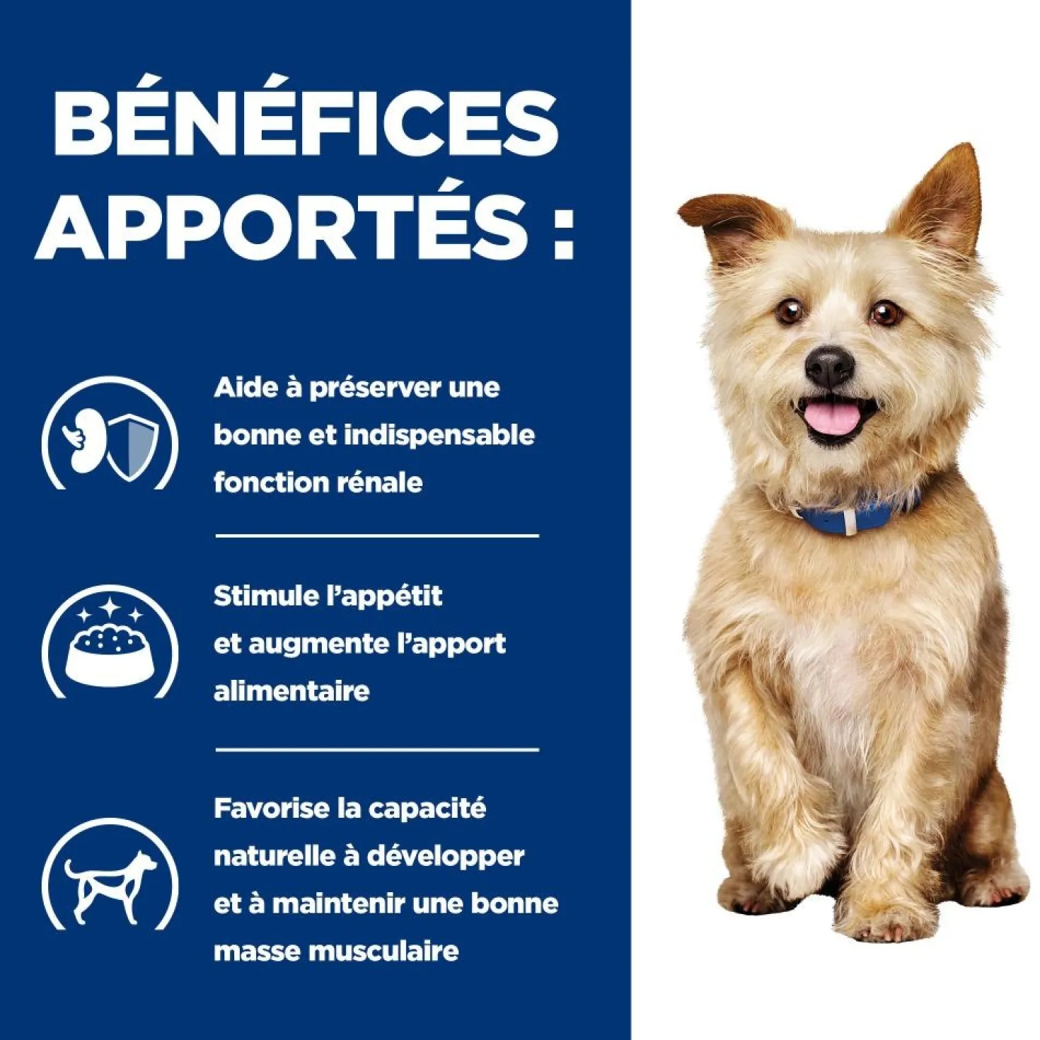 Hill's Prescription Diet k/d Kidney Care - croquettes chien
