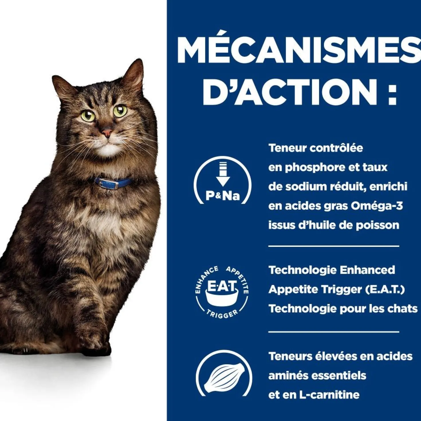 Hill's Prescription Diet k/d Kidney Care Early Stage - croquettes chat