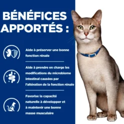 Hill's Prescription Diet k/d Kidney Care au Saumon - croquettes chat