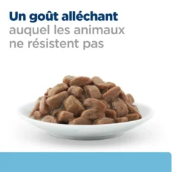 Hill's Prescription Diet k/d Kidney Care Early Stage en sachets au poulet - pâtée chat