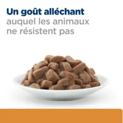 Hill's Prescription Diet k/d Kidney Care en bouchées au poulet - pâtée chat
