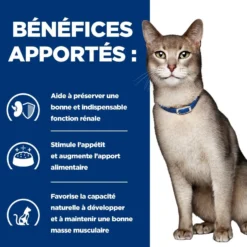 Hill's Prescription Diet k/d Kidney Care en bouchées au saumon - pâtée chat