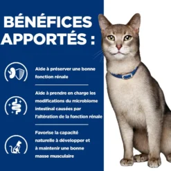 Hill's Prescription Diet k/d Kidney Care en bouchées mijotées au poulet - pâtée chat