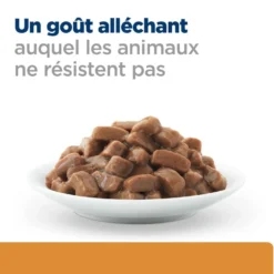 Hill's Prescription Diet k/d Kidney Care en bouchées au bœuf - pâtée chat
