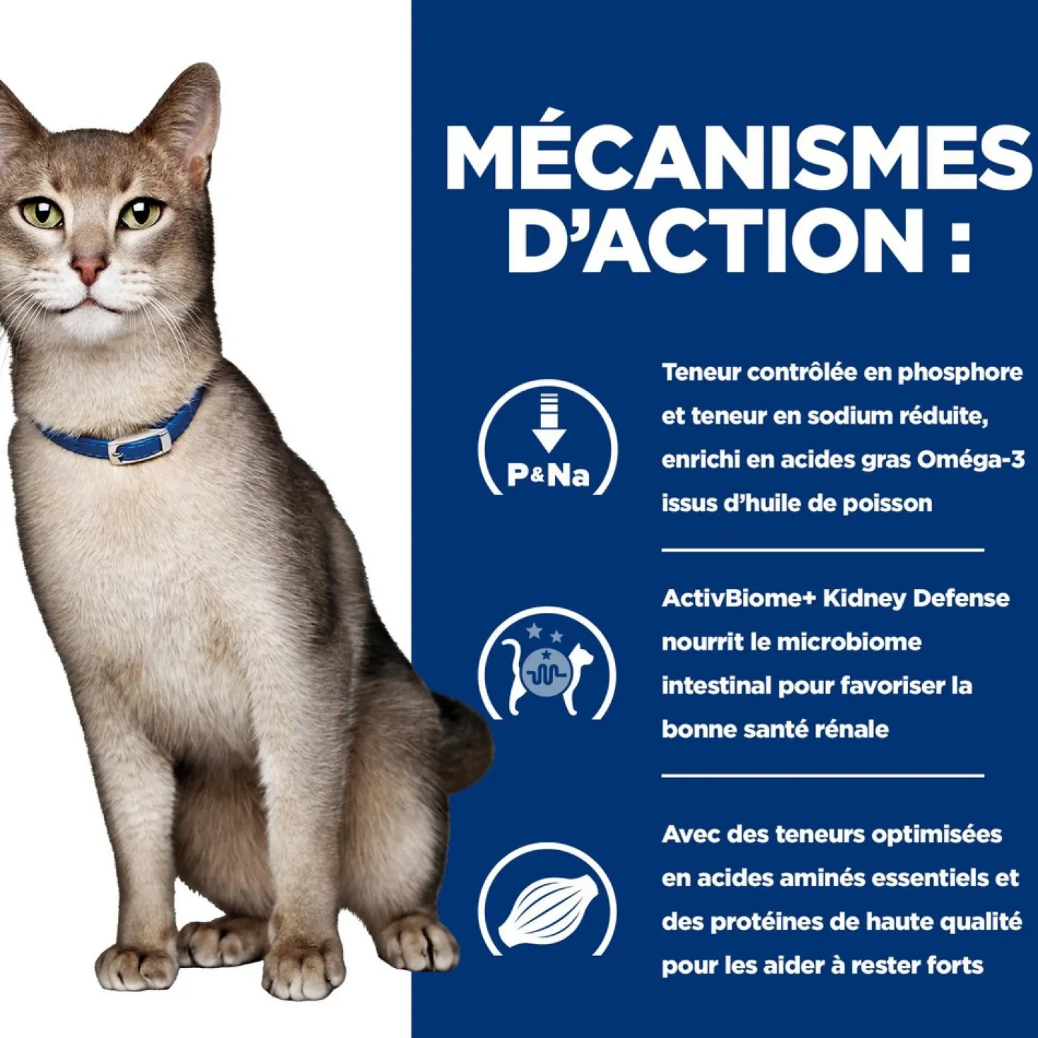 Hill's Prescription Diet k/d Kidney Care en terrine au poulet - pâtée chat