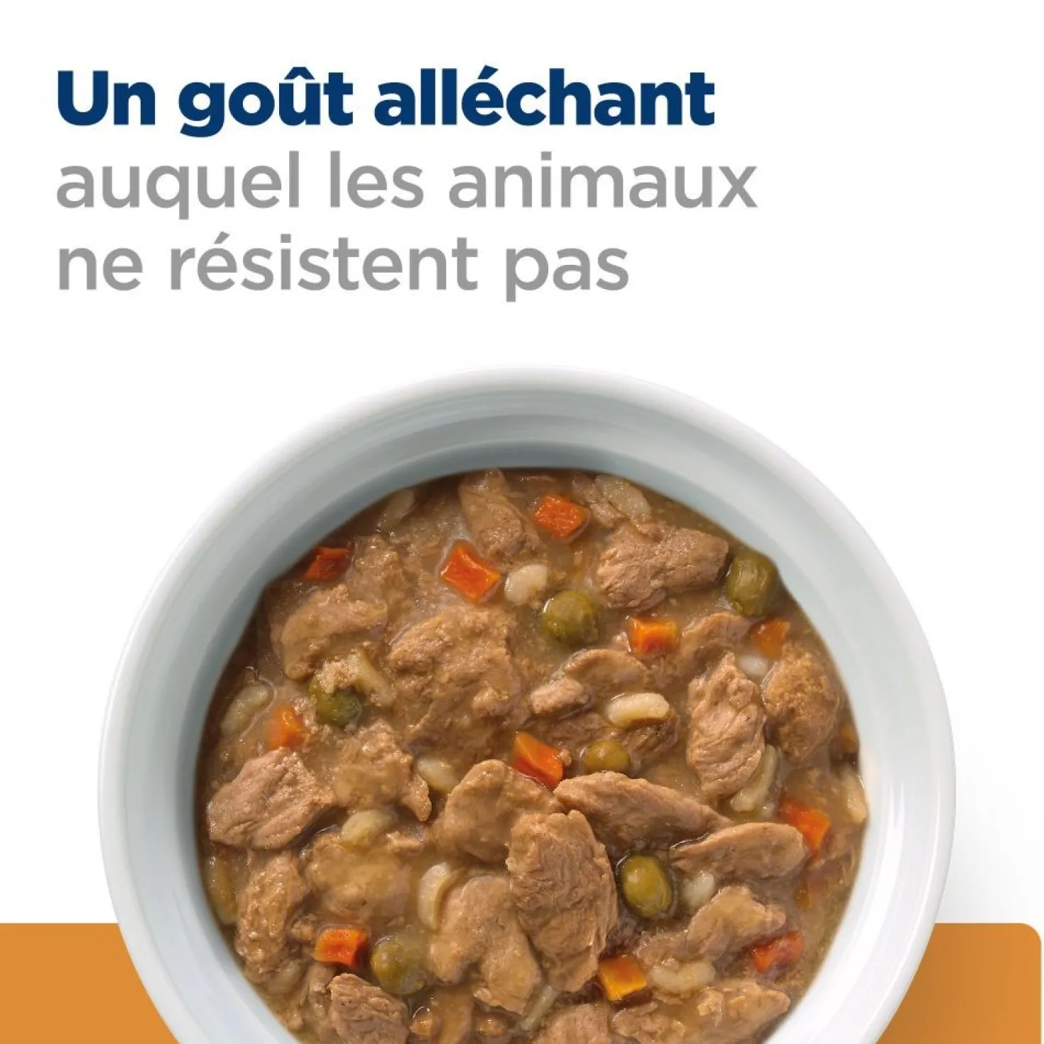 Hill's Prescription Diet k/d Kidney Care en mijotés au poulet - pâtée chien
